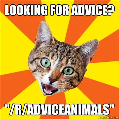 looking for advice? 