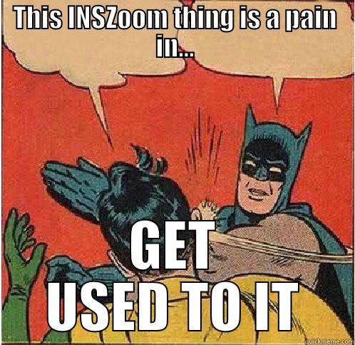 The INSZoom dilemma - THIS INSZOOM THING IS A PAIN IN... GET USED TO IT Batman Slapping Robin