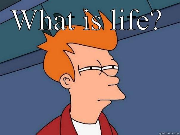 WHAT IS LIFE?   Futurama Fry