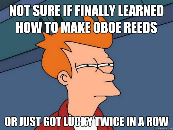 Not sure if finally learned how to make oboe reeds Or just got lucky twice in a row  Futurama Fry