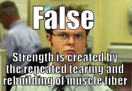FALSE STRENGTH IS CREATED BY THE REPEATED TEARING AND REBUILDING OF MUSCLE FIBER Schrute