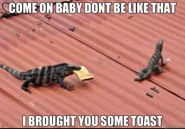 COME ON BABY DONT BE LIKE THAT I BROUGHT YOU SOME TOAST - COME ON BABY DONT BE LIKE THAT I BROUGHT YOU SOME TOAST  haha