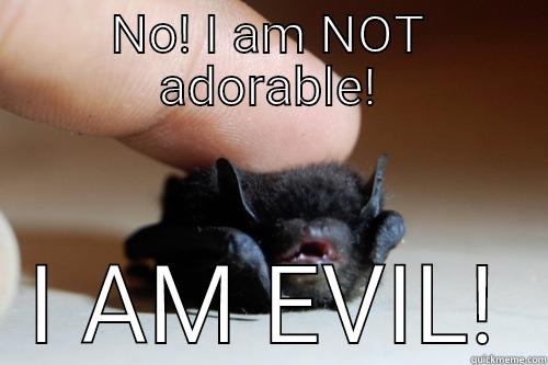 NO! I AM NOT ADORABLE! I AM EVIL! Misc