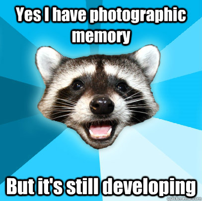 Yes I have photographic memory But it's still developing  Lame Pun Coon