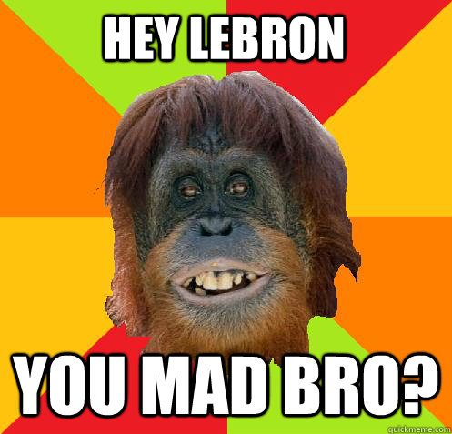hey lebron you mad bro?  Culturally Oblivious Orangutan