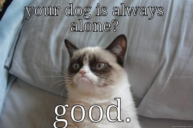 YOUR DOG IS ALWAYS ALONE? GOOD. Grumpy Cat