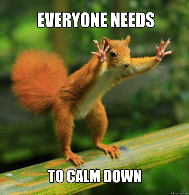 EVERYONE NEEDS TO CALM DOWN - EVERYONE NEEDS TO CALM DOWN  Re-Escalating Squirrel