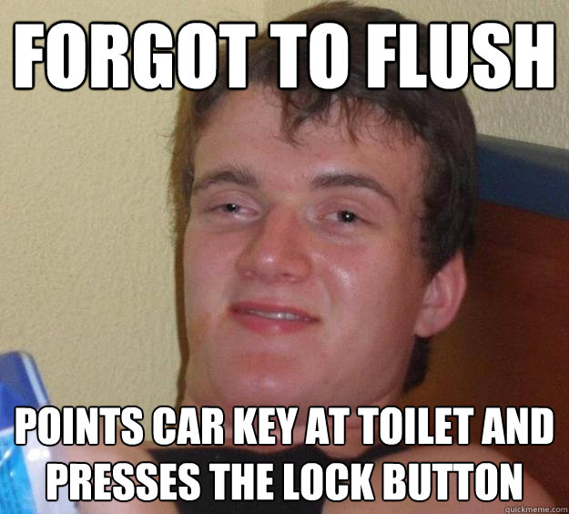 forgot to flush points car key at toilet and presses the lock button  10 Guy