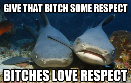 Give that bitch some respect bitches love respect - Give that bitch some respect bitches love respect  Compassionate Shark Friend