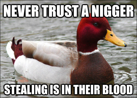 Never trust a nigger Stealing is in their blood  Malicious Advice Mallard