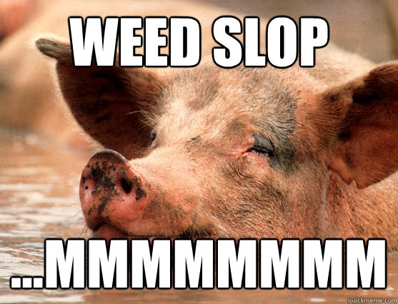 weed slop ...mmmmmmmm  Stoner Pig