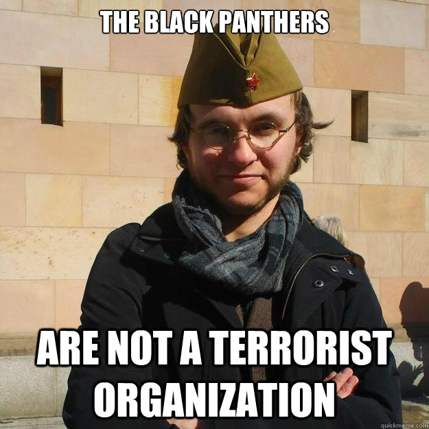 The Black Panthers Are Not A Terrorist Organization - The Black Panthers Are Not A Terrorist Organization  HYPOCRITICAL NEOCOMMUNIST