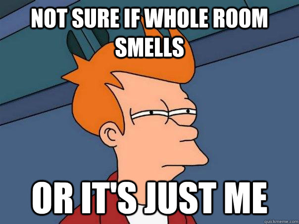 Not sure if whole room smells Or it's just me  Futurama Fry