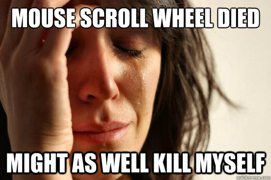 mouse scroll wheel died might as well kill myself  First World Problems