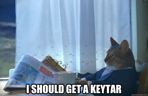  I should get a keytar  Sophisticated Cat