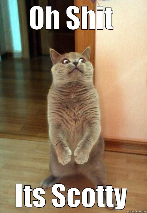 OH SHIT ITS SCOTTY Horrorcat