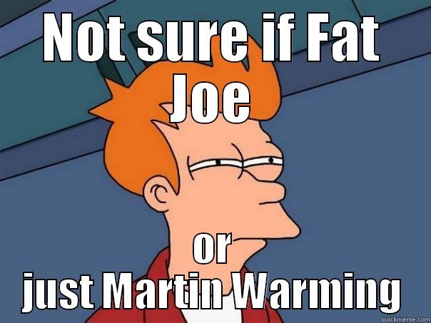 NOT SURE IF FAT JOE OR JUST MARTIN WARMING Futurama Fry