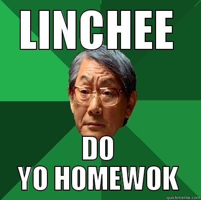 LINCHEE DO YO HOMEWOK High Expectations Asian Father