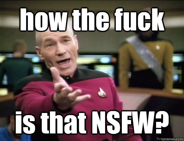 how the fuck is that NSFW?  Annoyed Picard HD