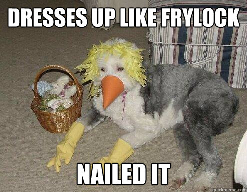 dresses up like frylock nailed it  Dress-Up Dog