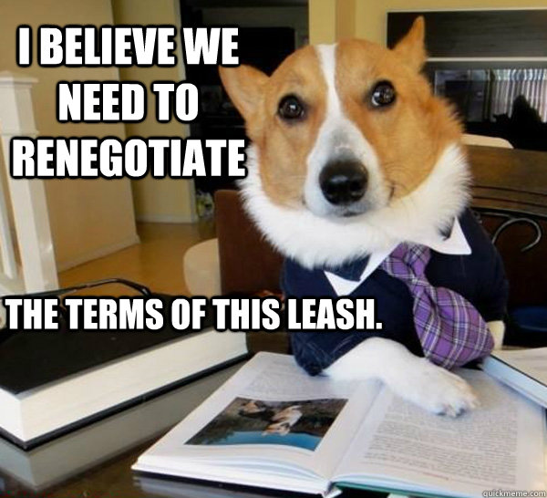 I believe we need to renegotiate the terms of this leash.  Lawyer Dog