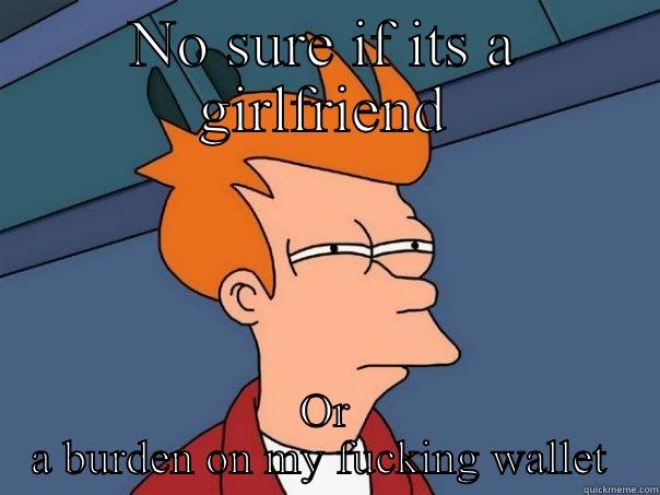 NO SURE IF ITS A GIRLFRIEND OR A BURDEN ON MY FUCKING WALLET  Futurama Fry