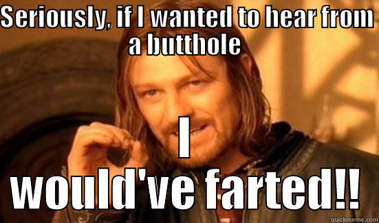 SERIOUSLY, IF I WANTED TO HEAR FROM A BUTTHOLE  I WOULD'VE FARTED!! Boromir