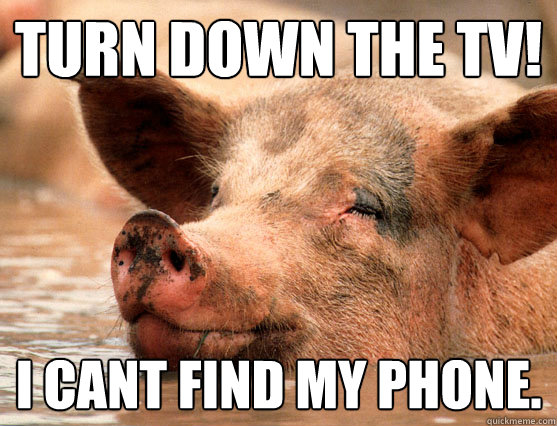 Turn down the tv! I cant find my phone. - Turn down the tv! I cant find my phone.  Stoner Pig