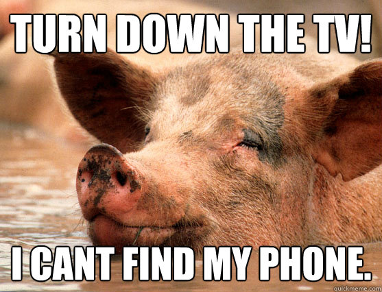 Turn down the tv! I cant find my phone.  Stoner Pig