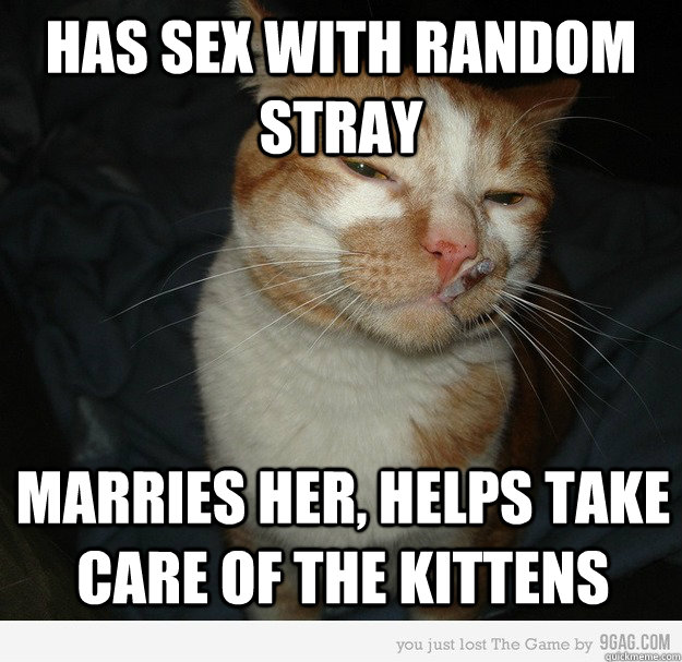 has sex with random stray marries her, helps take care of the kittens  Good Cat Greg