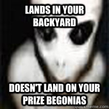 lands in your backyard doesn't land on your prize begonias  