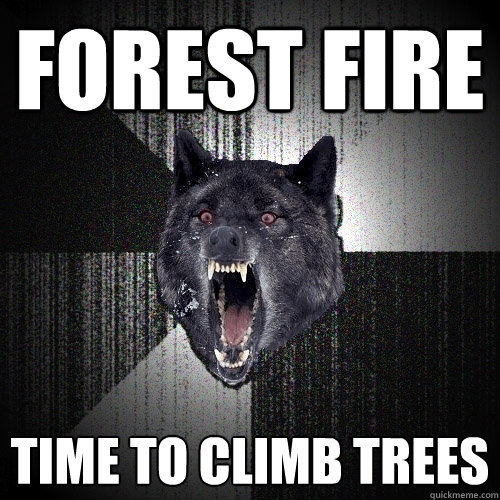 forest fire time to climb trees  Insanity Wolf