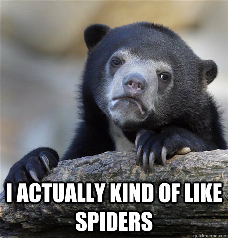  I actually kind of like spiders  Confession