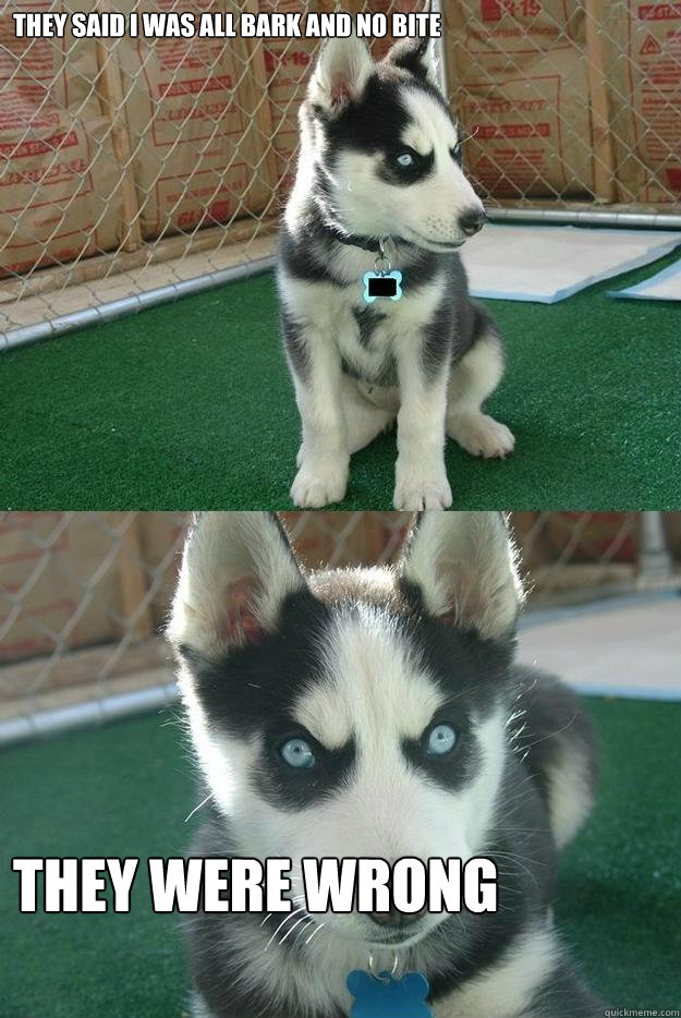 they said i was all bark and no bite they were wrong  Insanity puppy