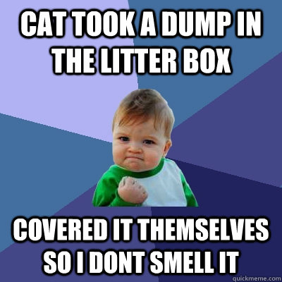 Cat took a dump in the litter box Covered it themselves so i dont smell it - Cat took a dump in the litter box Covered it themselves so i dont smell it  Success Kid