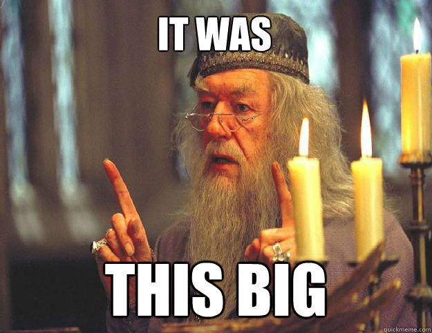 It was this big - It was this big  Dumbledore