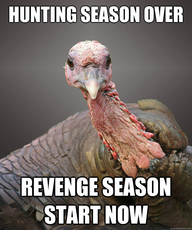 Hunting season over revenge season start now - Hunting season over revenge season start now  Revenge Turkey