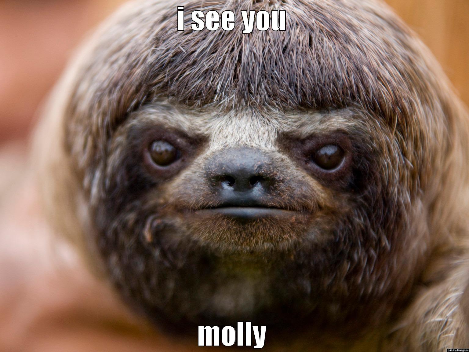 I SEE YOU MOLLY Misc