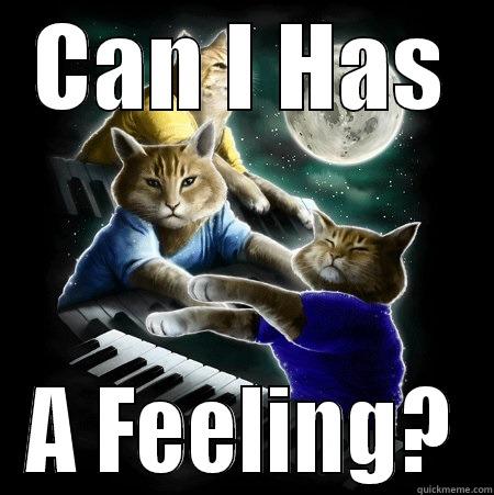 CAN I HAS A FEELING? Misc