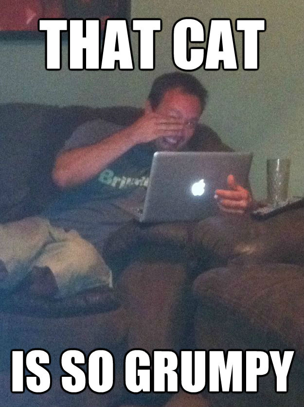 THAT CAT IS SO GRUMPY  MEME DAD
