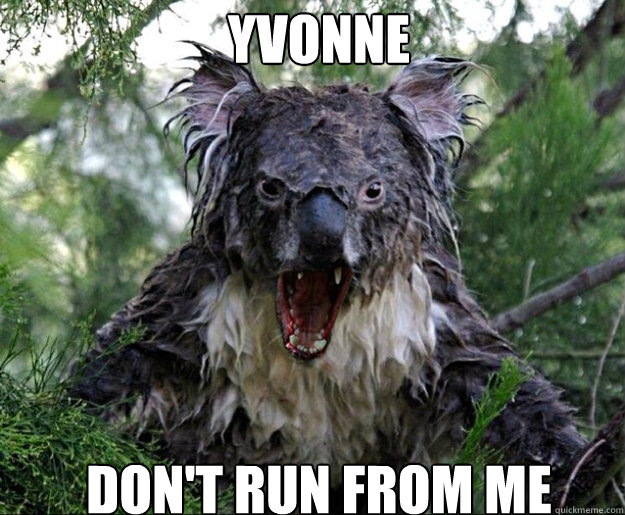 YVONNE DON'T RUN FROM ME - YVONNE DON'T RUN FROM ME  Wet Koala