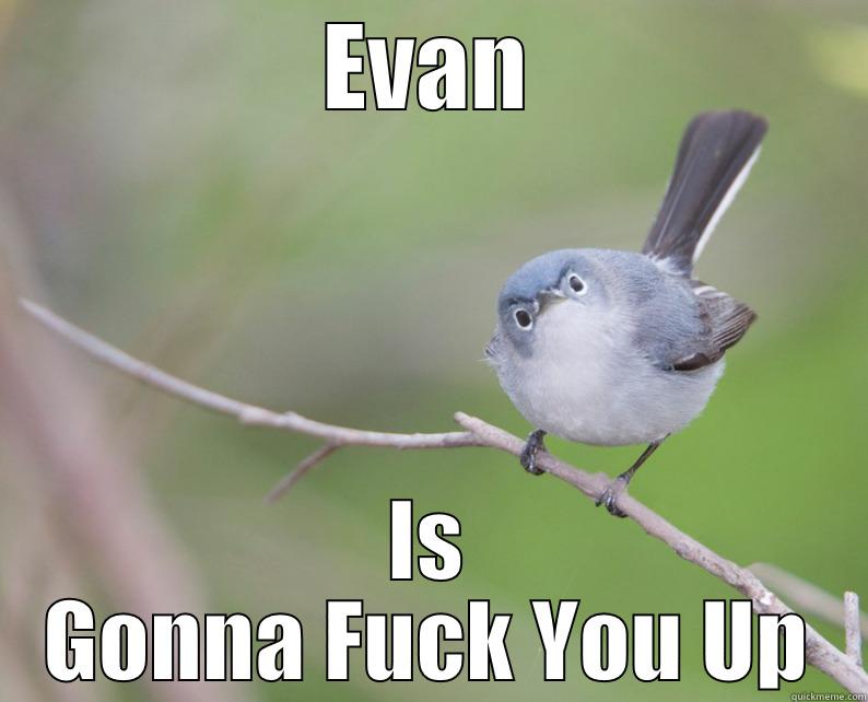 Evan, Blake's Familiar - EVAN IS GONNA FUCK YOU UP Misc