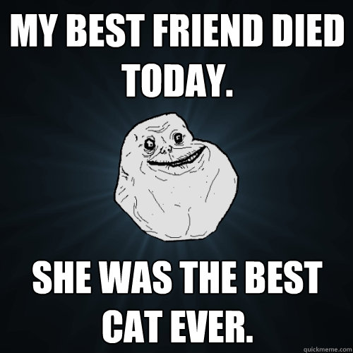 my best friend died today. she was the best cat ever.  Forever Alone