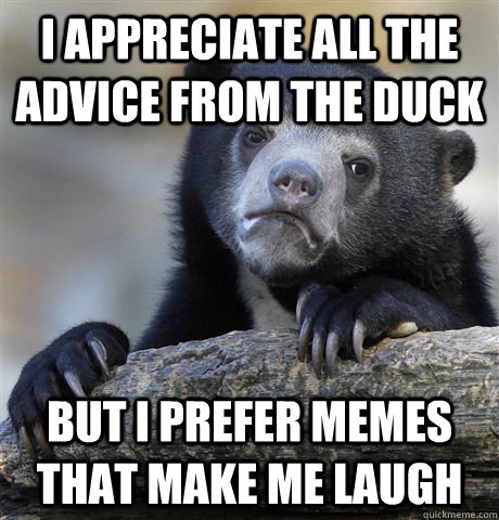 I appreciate all the advice from the duck But I prefer memes that make me laugh  Confession Bear