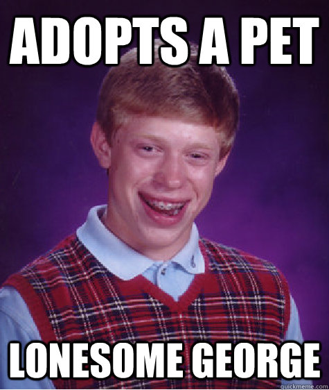 Adopts a pet Lonesome George  Bad Luck Brian