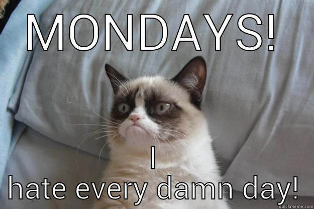 MONDAYS! I HATE EVERY DAMN DAY! Grumpy Cat