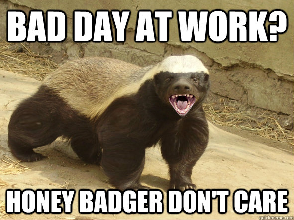 BAD DAY AT WORK? HONEY BADGER DON'T CARE  