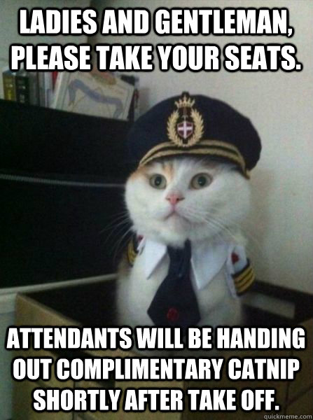 Ladies and gentleman, please take your seats. Attendants will be handing out complimentary catnip shortly after take off.  Captain kitteh