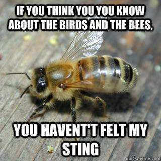 If you think you you know about the birds and the bees, yOU Havent't felt my sting   Hivemind bee