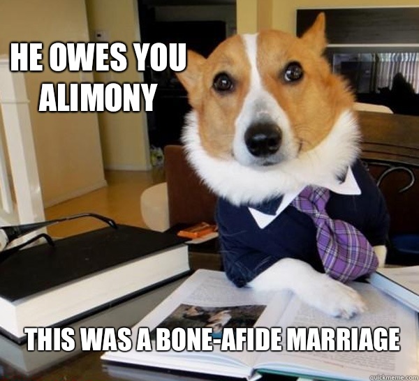 He owes you alimony This was a bone-afide marriage   Lawyer Dog
